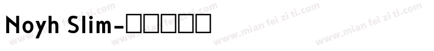 Noyh Slim字体转换